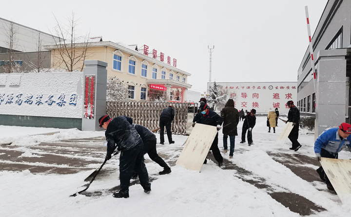 山東金格瑞的同事們第一時(shí)間積極自發(fā)的參與到掃雪行動中.jpg
