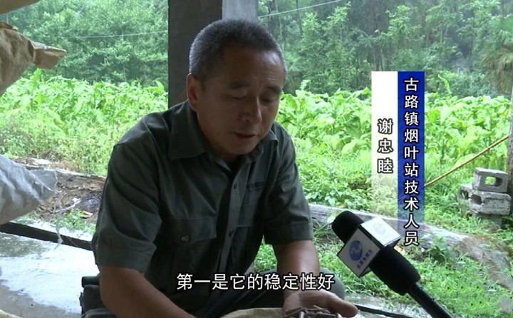 緊緊抓住木屑造粒機(jī)生物質(zhì)顆粒燃料加工場地建設(shè)項目落地的契機(jī)，找準(zhǔn)結(jié)合點(diǎn)，推動共和綜合服務(wù)型煙農(nóng)專業(yè)合作社與生物質(zhì)顆粒燃料加工廠的緊密合作.jpg