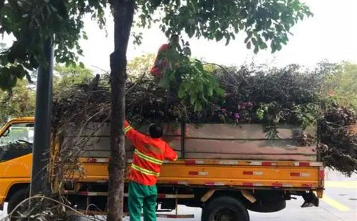 園林綠化廢棄物再利用，南京棲霞年處理量超3萬噸.jpg