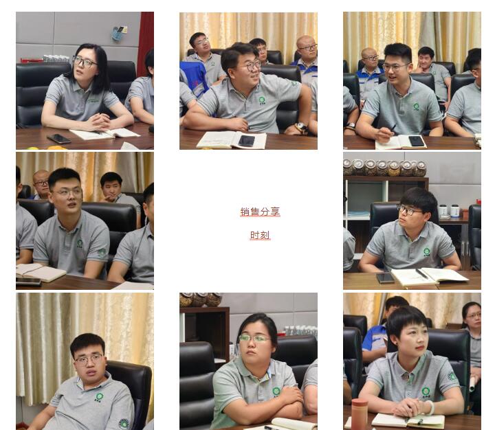 銷售精英們結(jié)合自己特點進行工作匯報。.jpg